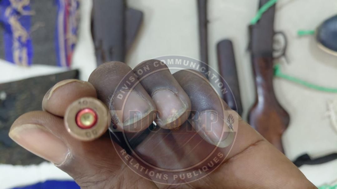 Lutte contre la criminalité : une bande armée démantelée à Kédougou - Image 1